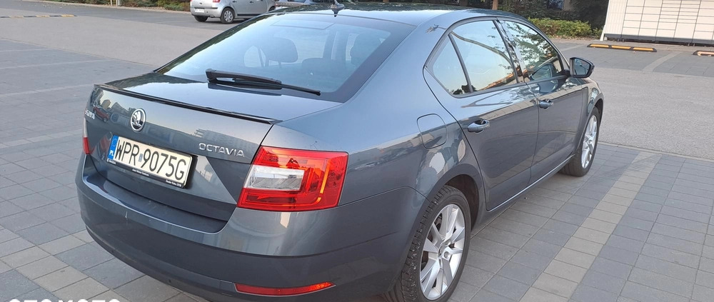 Skoda Octavia cena 70900 przebieg: 71000, rok produkcji 2019 z Połczyn-Zdrój małe 232